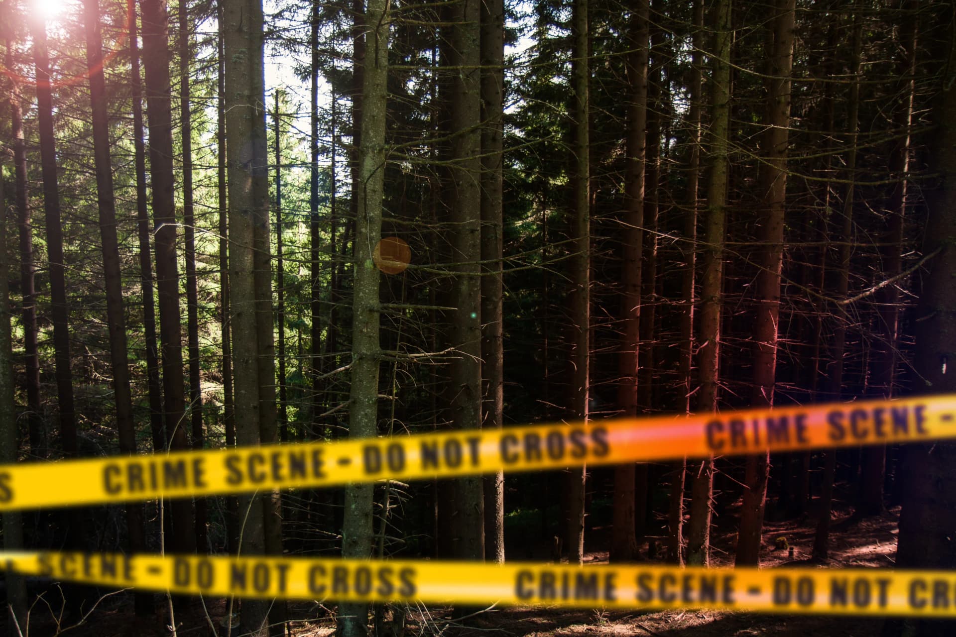 증거위조죄 전문 변호사 조력 필요한 이유